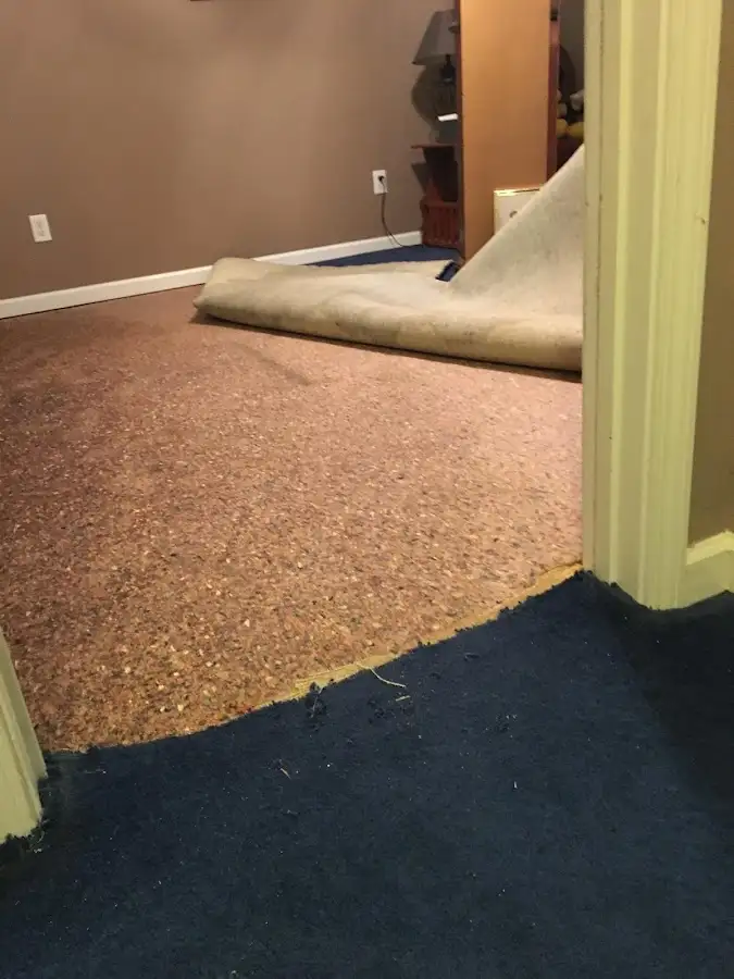 Carpet pad removal revealing water damage during Drying & Dehumidification in Kalispell