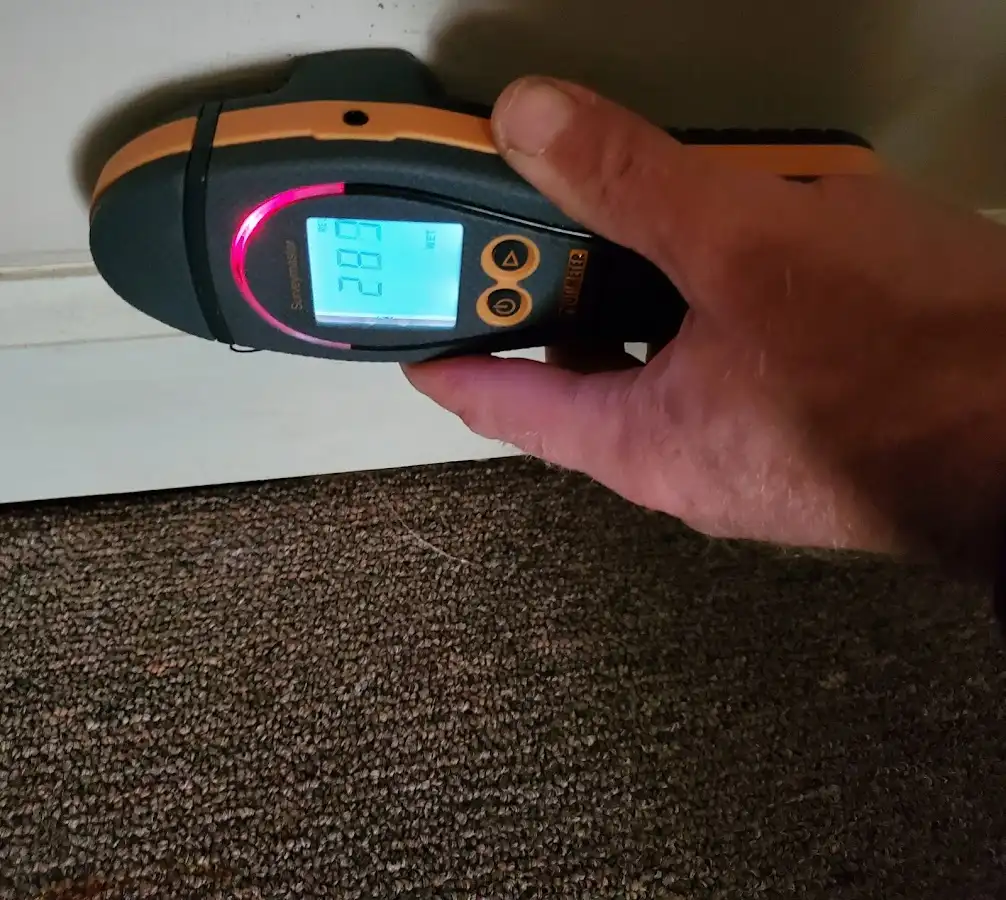 Moisture detection at baseboard during Sewage Cleanup & Sanitation in Kalispell